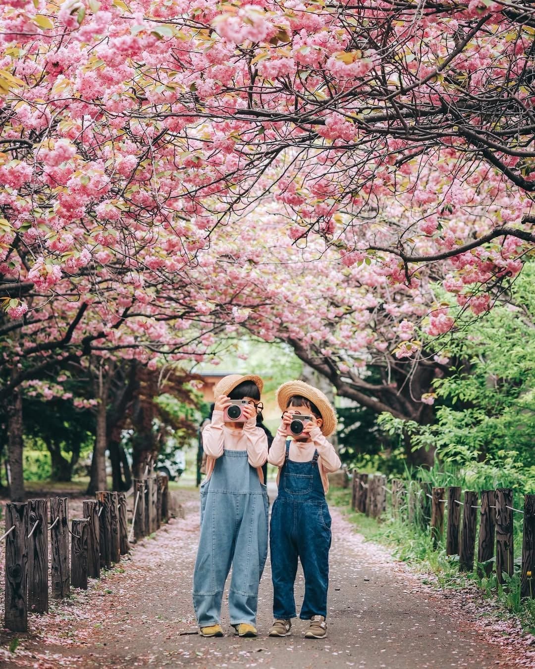 🏞️ 홋카이도립 마코마나이 공원 (北海道立真駒内公園) 이미지 6